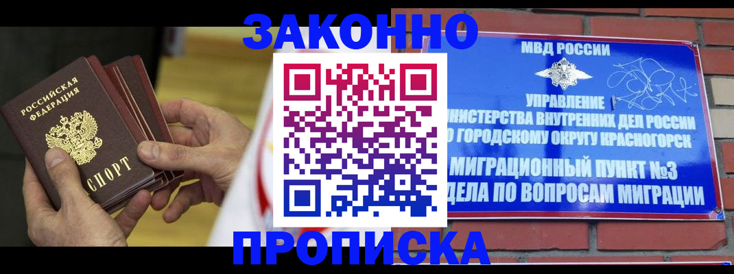 прописка для школы в Мурманске